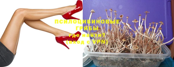 амф Нефтекумск