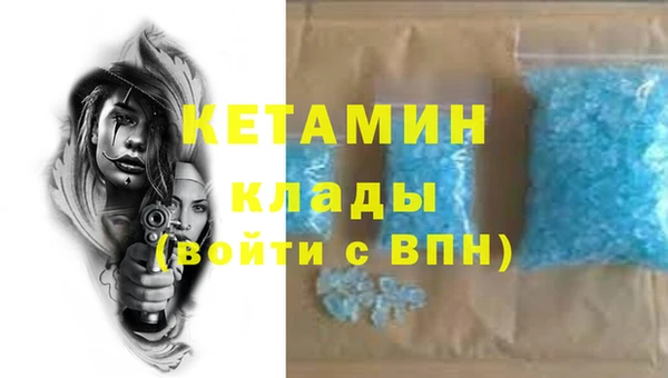 трава Новозыбков