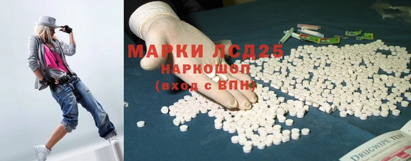 трава Новозыбков