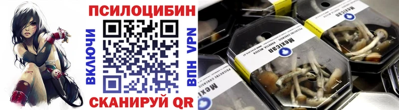 Купить где  Кирово-Чепецк  Псилоцибиновые грибы Psilocybine cubensis 